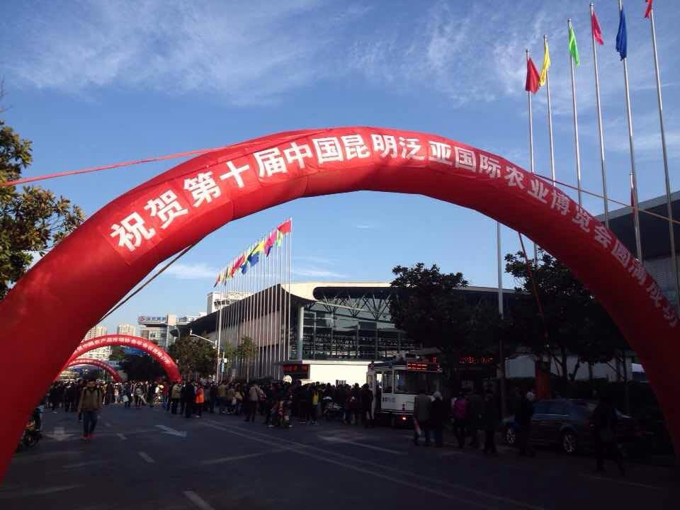 2024澳网门票官方网站